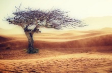 Κλιματική Αλλαγή: Ρεκόρ υπερθέρμανσης τα επτά τελευταία χρόνια 