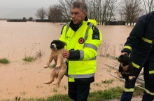 «Δοιμήδης» - Φάρσαλα: Διάσωση κουταβιών που κινδύνεψαν να πνιγούν