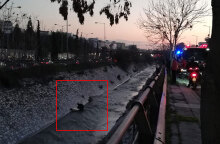 Πυροσβέστης στον Κηφισό ανασύρει γυναίκα που έπεσε μέσα στην κοίτη