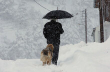 Άνδρας με ομπρέλα και τον σκύλο του κρατά ομπρέλα στα χιόνια