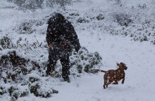 Άνδρας με σκύλο στα χιόνια εν μέσω κακοκαιρίας