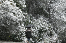 Η πρόγνωση του καιρού για σήμερα Σάββατο (22/01)