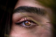 Τα τρία χρώματα σκιάς που ταιριάζουν απόλυτα με τα καστανά μάτια και δίνουν ένταση στο βλέμμα.