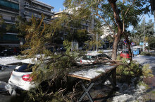 Κακοκαιρία «Ελπίδα»: Ζημιές σε αυτοκίνητα από πτώσεις δέντρων