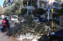 Κάτοικος ζητάει αποζημίωση για πτώση δέντρου, το οποίο δεν άφηνε τον Δήμο να το κόψει (vid)