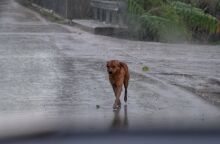 Βροχερός και την Τετάρτη ο καιρός: Καταιγίδες και χιονοπτώσεις 