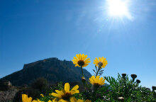 Ηλιοφάνεια με τη θερμοκρασία σε άνοδο σήμερα Παρασκευή (11.02)