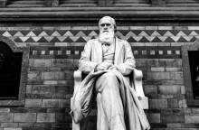 Κάρολος Δαρβίνος