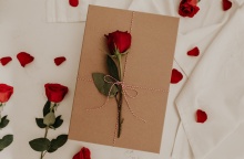 Τριαντάφυλλο - Ημέρα των ερωτευμένων - Αγίου Βαλεντίνου