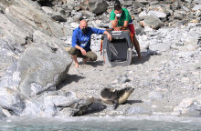 Η μεσογειακή φώκια «Εύη» αφέθηκε ελεύθερη στη Γυάρο