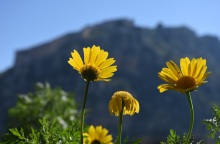 Καιρός - Μαρουσάκης: Έρχεται ανοιξιάτικο Σαββατοκύριακο