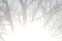 Αλεξάνδρα Αθανασιάδη, Dreamscape (2022)