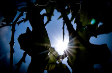 Η πρόγνωση του καιρού για σήμερα Παρασκευή (18/02)