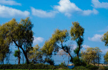 Ηλιοφάνεια στην Αττική έχει ο καιρός αύριο Παρασκευή (18.02)