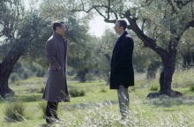 Άγριες Μέλισσες