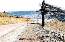 Φωτογραφία στο εξώφυλλο της συλλογής «Ποιήματα» του Ηλία Ευθυμιόπουλου (εκδ. ATHENS VOICE BOOKS)