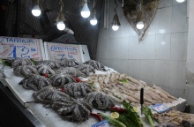 Καθαρά Δευτέρα: Χταπόδια και καλαμάρια εκτίθενται σε ιχθυοπωλείο