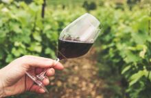 ΒΑΚΧΕΣ: μια έκθεση για όσους αγαπούν το κρασί και την τέχνη