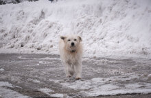 Χιόνια στην Αθήνα φέρνει η κακοκαιρία «Φίλιππος»