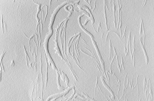 Κατερίνα Ζαχαροπούλου, "Όταν ο κόραξ λευκανθεί" (2020-22), λεπτομέρεια