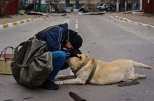 Άνδρας προσπαθεί να βοηθήσει τον παραλυμένο από τον τρόμο σκύλο του