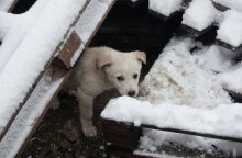 Χιόνια στην Αττική