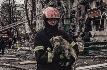 Διασώστης απομακρύνει σκύλο από βομβαρδισμένο κτίριο στην Ουκρανία