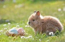 Το Πάσχα 2022 πέφτει φέτος στις 24 Απριλίου
