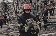 Διασώστης απομακρύνει σκύλο από βομβαρδισμένο κτίριο στην Ουκρανία © Володимир Зеленський/Facebook