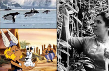 Φάρσες και ψέματα την Πρωταπριλιά - Όταν το BBC μετέδωσε ότι υπάρχουν «μακαρονόδεντρα»