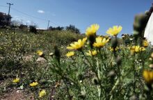 Αίθριος καιρός