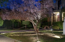 Weather engines, Αερογράφοι του Ζήση Κοτιώνη