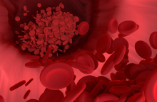 ερυθροκύτταρα ή ερυθρά αιμοσφαίρια