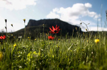 Αίθριος ο καιρός σήμερα Πέμπτη 14 Απριλίου 2022, σύμφωνα με την ΕΜΥ