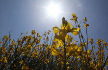 Καλός ο καιρός αύριο Μεγάλη Τετάρτη 20 Απριλίου 2022