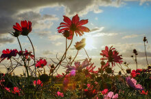 Σύμμαχος ο καιρός των εκδρομέων του Πάσχα 2022, σύμφωνα με την πρόγνωση της ΕΜΥ