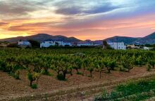 Οινοποιείο Moraitico: τα ωραία κρασιά της Πάρου