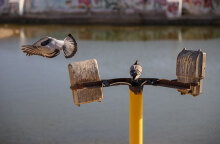 Η εορτή του Αγίου Πνεύματος γιορτάζεται 7 εβδομάδες μετά το Πάσχα