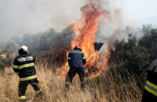 Μάχη με τις φλόγες έδωσαν πυροσβέστες στη Σαλαμίνα για να θέσουν υπό έλεγχο τη φωτιά