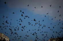 Το τριήμερο του Αγίου Πνεύματος 2022 είναι ένα από τα τέσσερα που απομένουν μέχρι να φύγει η χρονιά