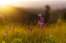 Ο καιρός σήμερα Τρίτη 17 Μαΐου 2022 αναμένεται γενικά αίθριος, σύμφωνα με την ΕΜΥ