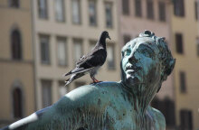 Σημαντική γιορτή του Αγίου Πνεύματος για την Ορθοδοξία