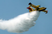 Φωτιά σε δάσος στη Βόρεια Εύβοια (Φωτογραφία αρχείου)