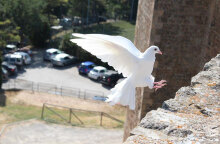 Τη Δευτέρα 13 Ιουνίου 2022 το τριήμερο του Αγίου Πνεύματος