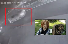 Το λευκό βαν που χρησιμοποιήθηκε στην αρπαγή 6χρονου στην Κηφισιά - Ο ΡάινερΤζέισον Πέντερσεν (ένθετη)