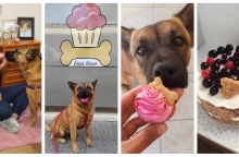 Η Ειρήνη, η Ema και οι σκυλολιχουδιές