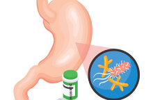Εικονογράφηση που δείχνει το όργανο του σώματος στομάχι
