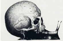 Οπτική ψευδαίσθηση βάζει δύσκολα στους χρήστες στα social