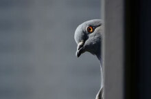 Ο καιρός το τριήμερο Αγίου Πνεύματος δεν αναμένεται να είναι σύμμαχος των εκδρομέων