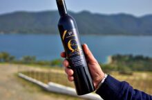  Στο Οινοποιείο Βρυνιώτη πίνοντας τα υπέροχα κρασιά του